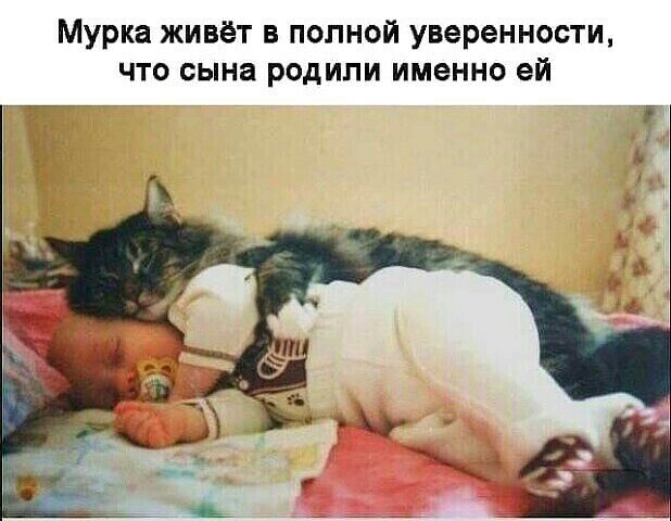 Мурка живёт в полной уверенности что сына родили именно ей