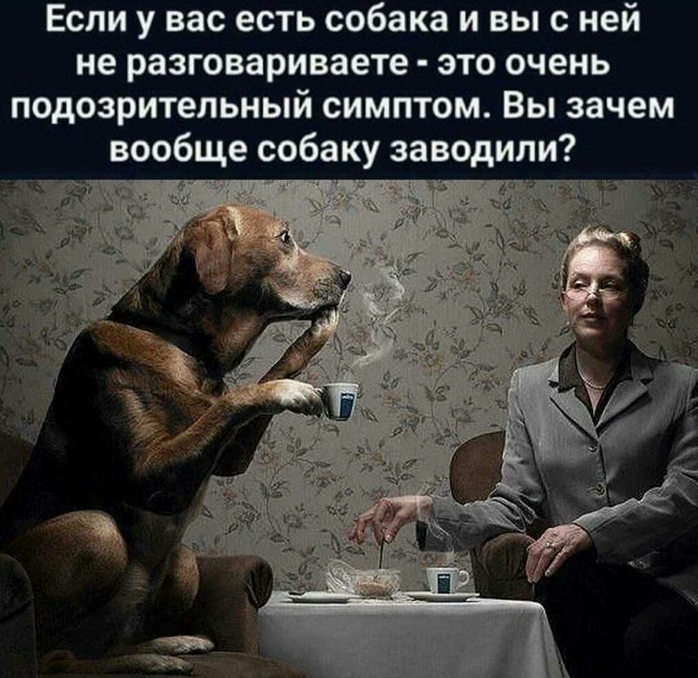 Если у вас есть собака и вы с ней не разговариваете это очень подозрительный симптом Вы зачем вообще собаку заводили