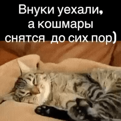 Внуки уехали а кошмары снятся до сихлор