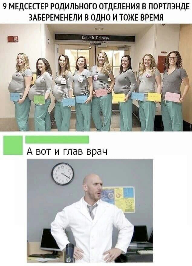 9 МЕДСЕСГ ЕР РОДИЛЬНОГО ОТДЕЛЕНИЯ В ПОРТЛЭНДЕ ЗАБЕРЕМЕНЕЛИ В ОДНО И ТОЖЕ ВРЕМЯ