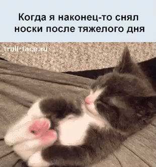 Когда я наконец то сиял носки после тяжелого дня