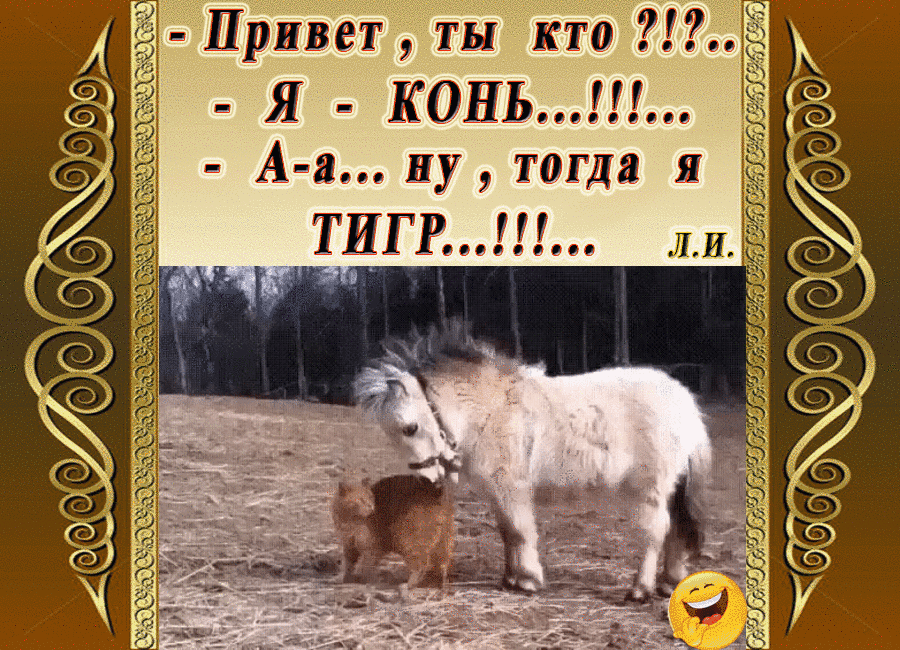 с в Привет ты кто Я КОНЬвеоецие Ава ну тогда ШГР ЛИ