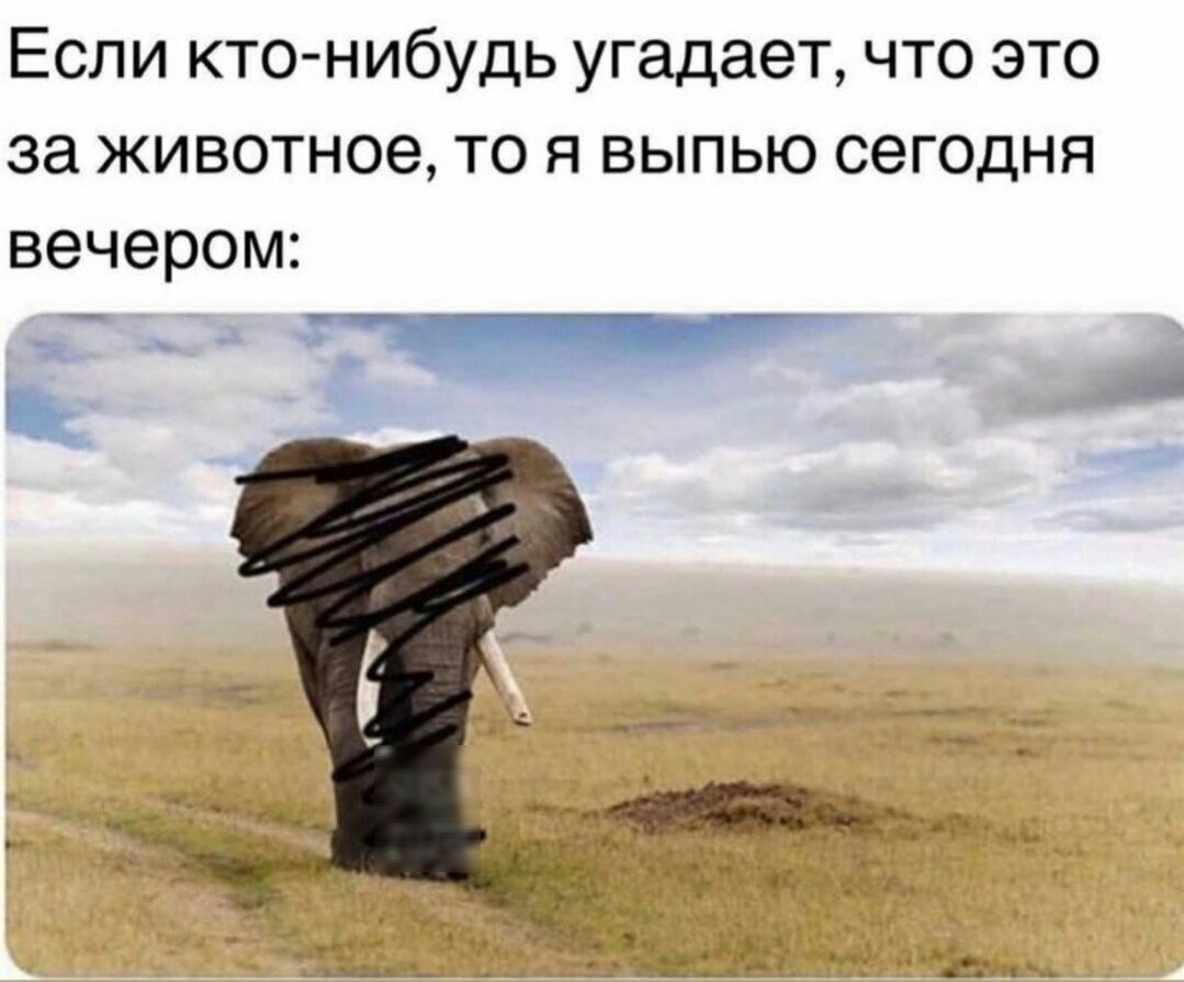 Если кто нибудь угадает что это за животное то я выпью сегодня вечером