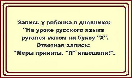 Запись у ребенка в дневнике На уроке русского языка ругался маюм на букву Х Ответная запись Меры приняты П навешали