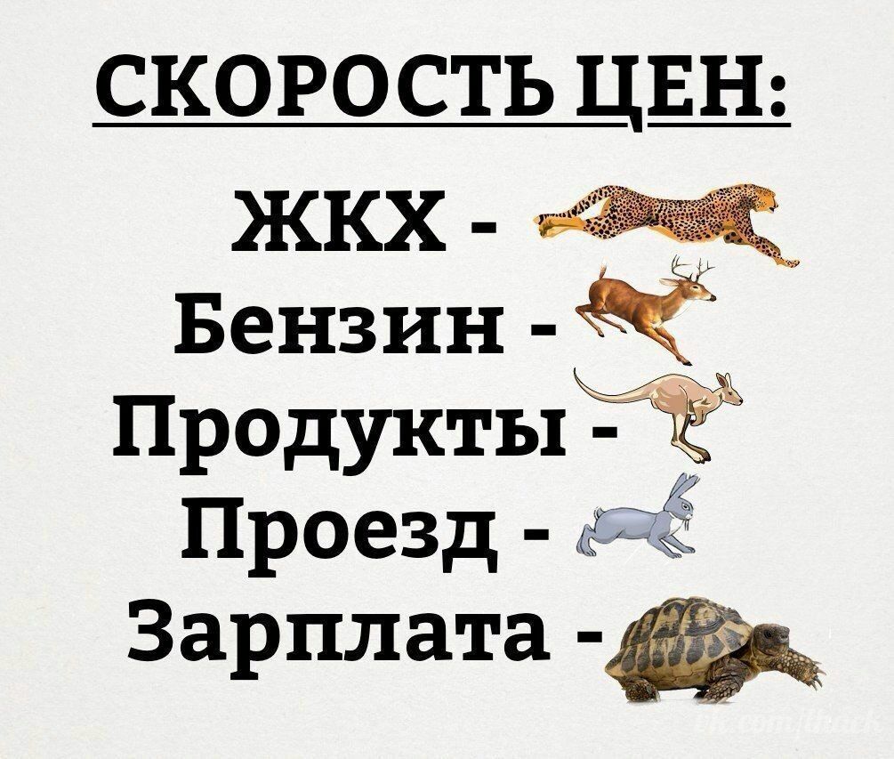 щин прдУКты проезд Зарплата