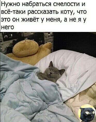 Нужно набраться смелосги и всётаки рассказать коту что это он живёт у меня а не я у него