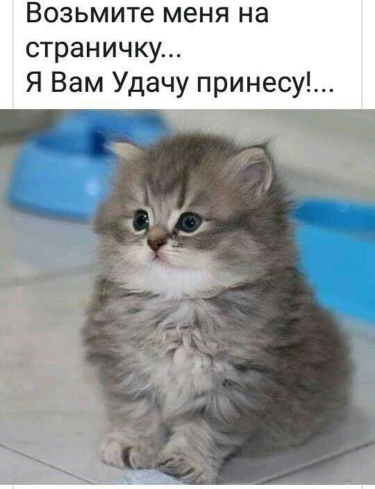 Возьмите меня на страничку Я Вам Удачу принесу