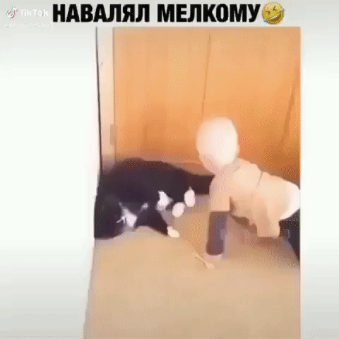 НАШЯЛ МЕЛКПШКЙ