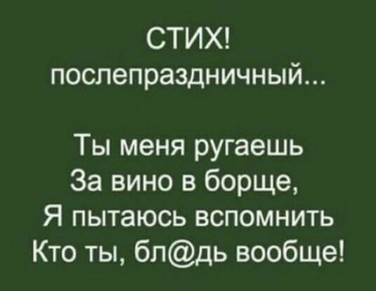 СТИХ послепраздничный Ты меня ругаешь За вино в борще Я пытаюсь вспомнить Кто ты блдь вообще