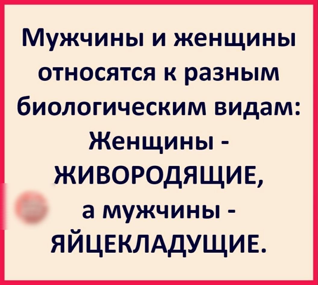 Мужчины и женщины относятся к разным биологическим видам Женщины ЖИВОРОДЯ ЩИ Е а мужчины яйцвклддущив