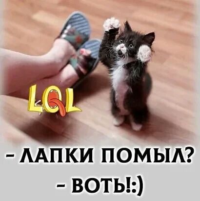 ААПКИ ПОМЫА ВОТЬ