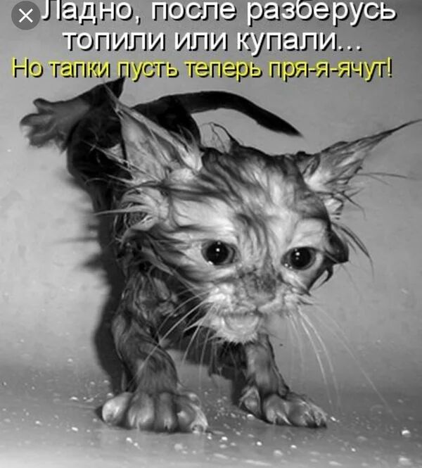 Ладгю после разбгрУЁЩ ГОПИЛИ ИЛИ КУПЭШИ Но тапки іусгь теперь пря Я ячуг