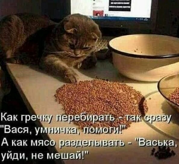 уйди не меШай