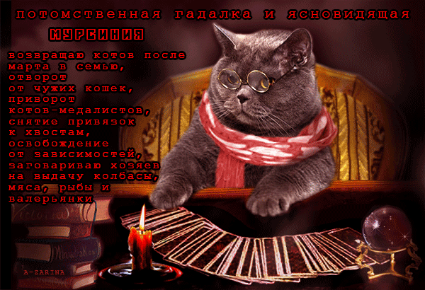 потомственная гадалка и ясновидящая ШЩРБШШШШ возвращаю котов после марта в семью Отворот от чужих кошек приворот котовмэдапистози снятие прививок к хвостам освобождение і от вввисимоствйд мисвтгрыбы и ввпврьинки УЧП