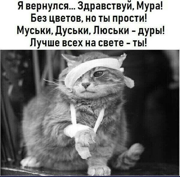 Я вернулся Здравствуй Мура Без цветов но ты прости Муськи Дуськи Люськи дУРЫ Лучше всех на свете ты