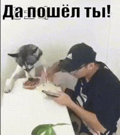 дішоішёп ты
