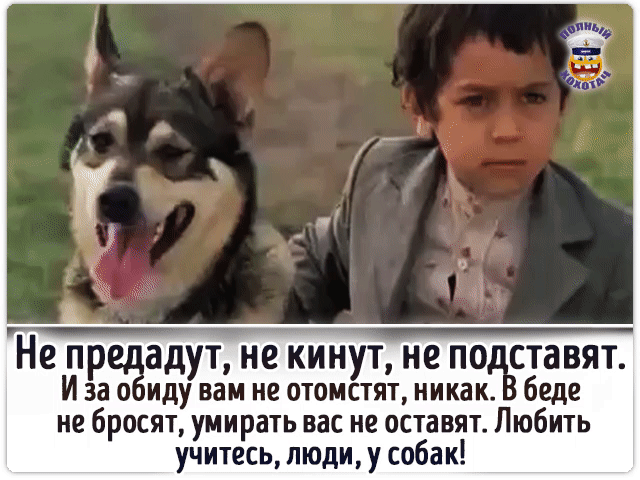 Не П адут не КИНУТ не ПО ставят И за о иду вам не отомстят никак беде не бросят умирать вас не оставят Любить учитесь люди у собак