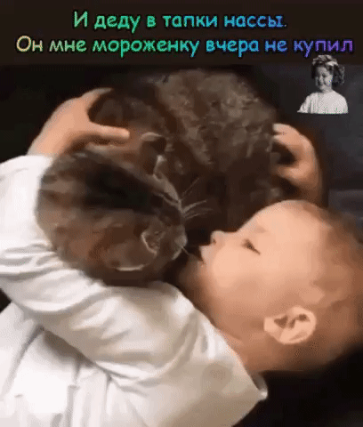 И деду в тапки массы ОН мне МОРОЖВНКУ ПЧВРО КУПИЛ