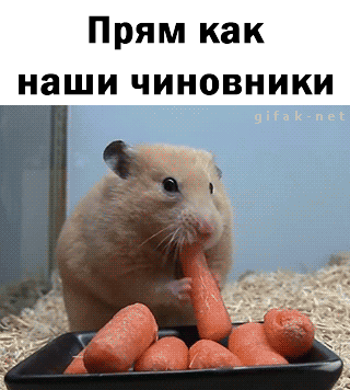 Прям как наши чиновники дгц