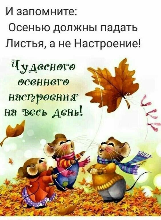 И запомните Осенью должны падать Листья а не Настроение дудееногэ всеННегв З Наси рвениж ч На тесла день