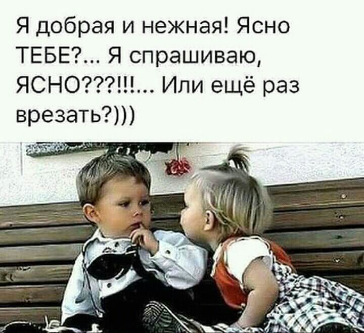 Я добрая и нежная Ясно ТЕБЕ Я спрашиваю ЯСНО Или ещё раз врезать