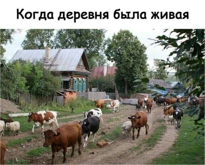 Когда деревня была живая а _ ж