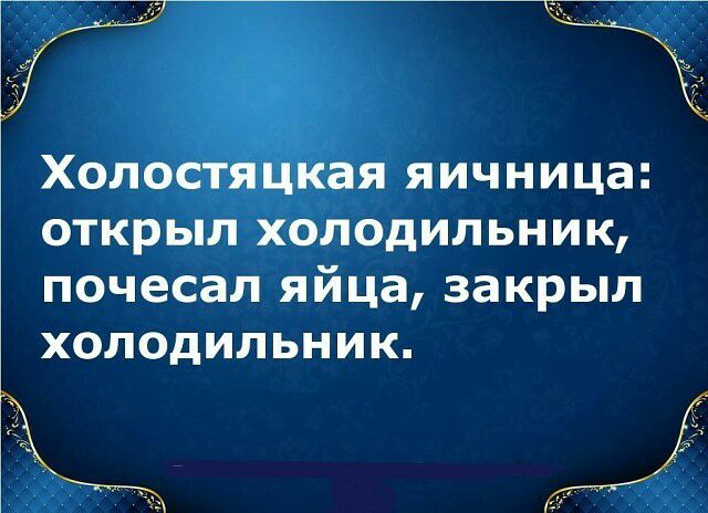 Холостяцкая яичница открыл холодильник почесал яйца закрыл холодильник