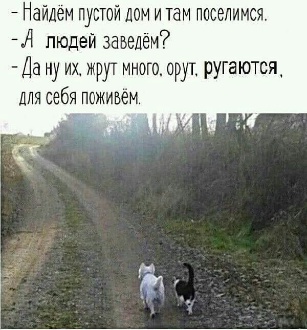 Найдём пустой ДОМ и там поселимся А людей заведём Да ну их жрут много орут ругаются Для себя поживём