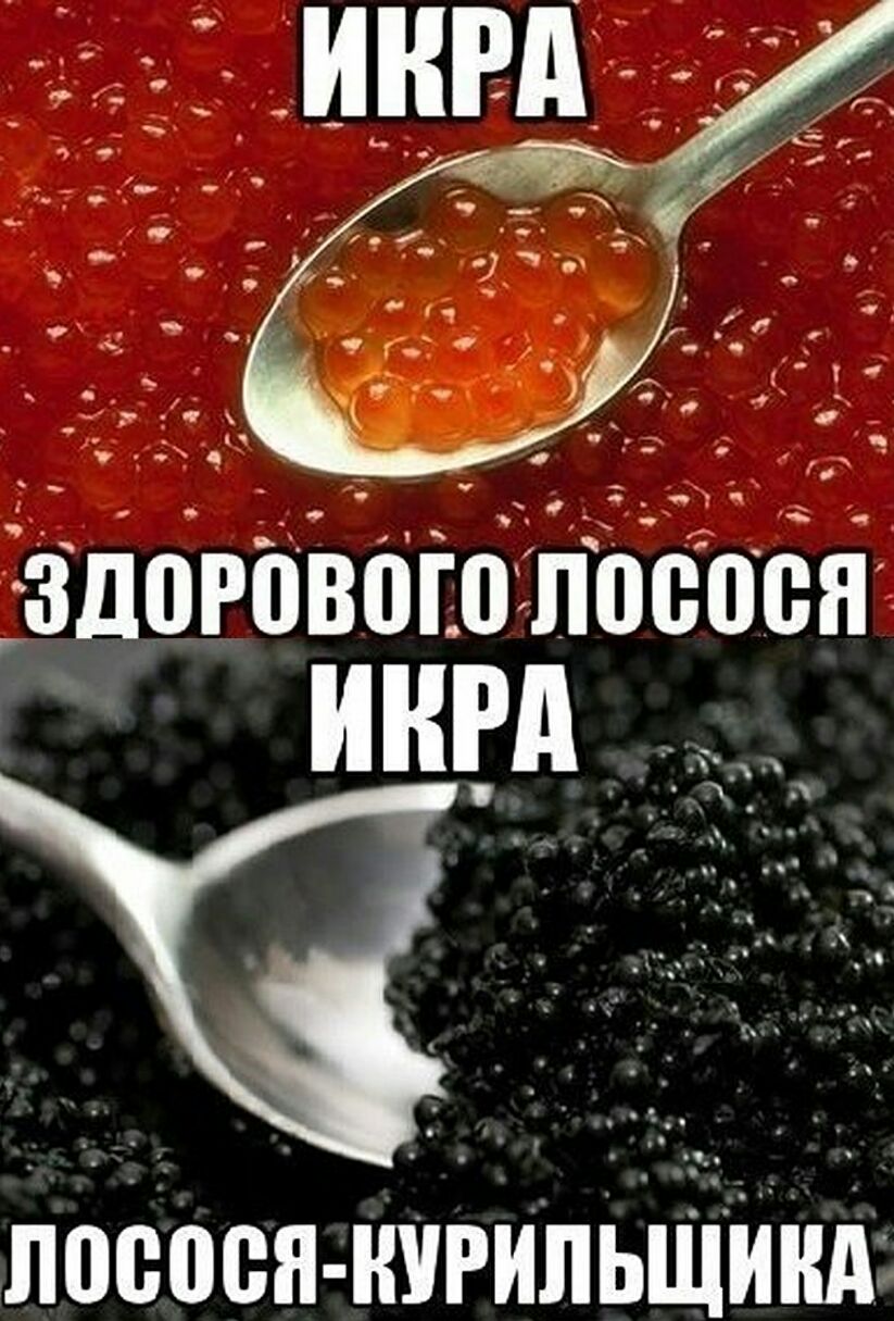 ю_ _ ___ _ со ч зд Р а _ _ ___ я _ Пососн нчРиЛЬЩйнд