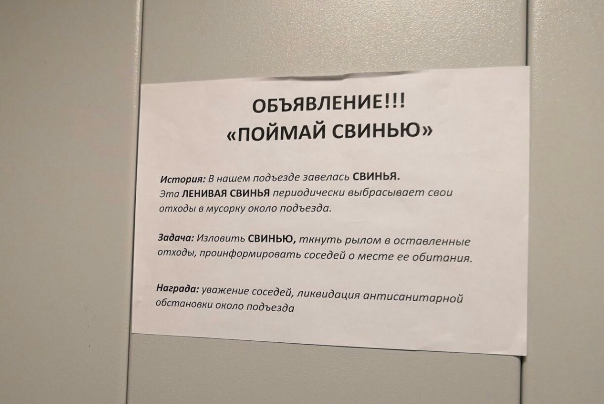 овъявлвнив ПОЙМАЙ СВИНЬЮ Икторил в нашем подъезде завелась свинья Эта ЛЕНИВАЯ свинья периодически выбрасывает сваи отходы в мусорку около подъезда Задачи Изловить свинью ткнуть рылом в оставленные отходы приинфармироаать соседей о месте ге обитания Наградп унижение соседей ликвидация интисинитарной обстановки окола подъезда