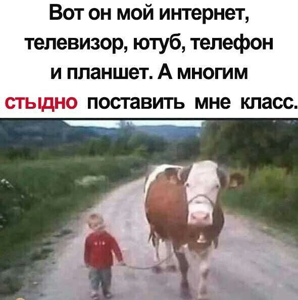 Вот он мой интернет телевизор ютуб телефон и планшет А многим стыдно поставить мне кпасс