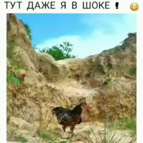 ТУТ ДАЖЕ Я В Ш КЕ