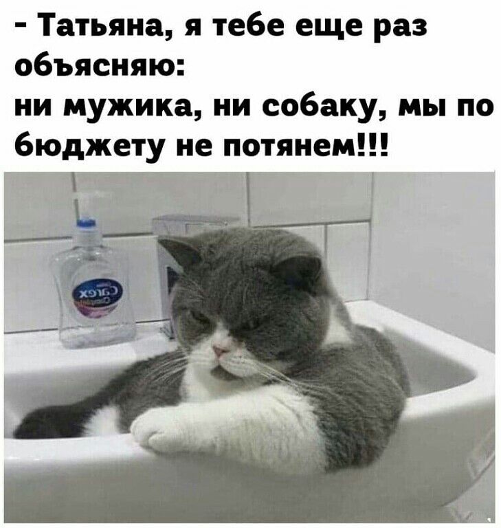 Татьяна я тебе еще раз объясняю ни мужика ни собаку мы по бюджету не потянем