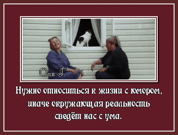 Нужно относишься к жизни с юмором иначе окружающая реааыюсшь сведён нас с ума