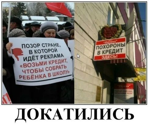 ПОЗОР сти в кошти Иды гамм икредд сеть школ ДОКАТИЛИСЬ