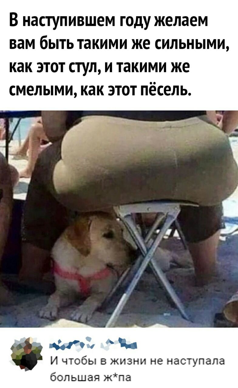 В наступившем ГОДУ желаем ВдМ бЫТЬ такими же СИЛЬНЫМИ как ЭТОТ СТУЛ И такими же СМЕЛЫМИ как ЭТОТ пёсель 499 на И чтобы в жизни не наступала большая жпа