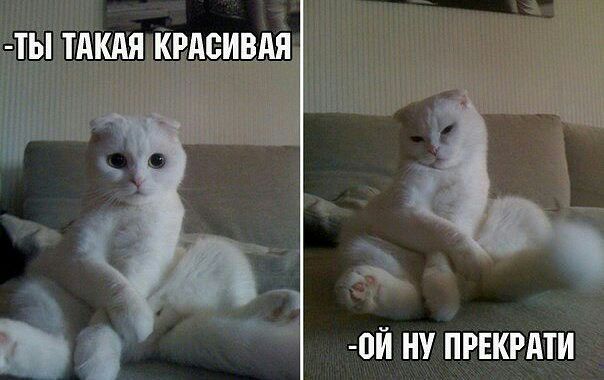 ты И КРАСИВАЯ 0Й НУ ПРЕКРАТИ