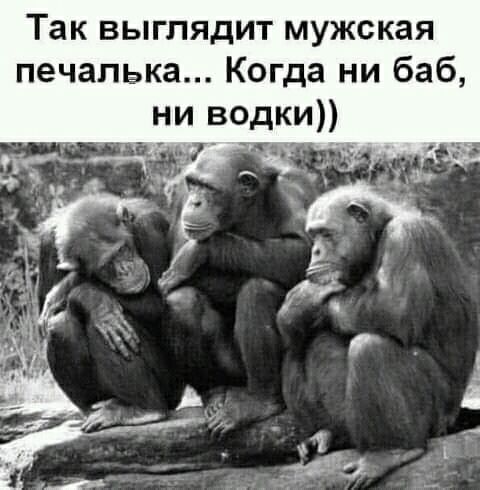 Так выглядит мужская печапька Когда ни баб ни водки