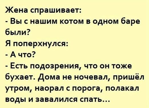 Жена спрашивает Вы с нашим котом в одном баре были Я поперхнулся А что Есть подозрения что он тоже бухает дома не ночевал пришёл утром наорал с порога полакал воды и завалился спать