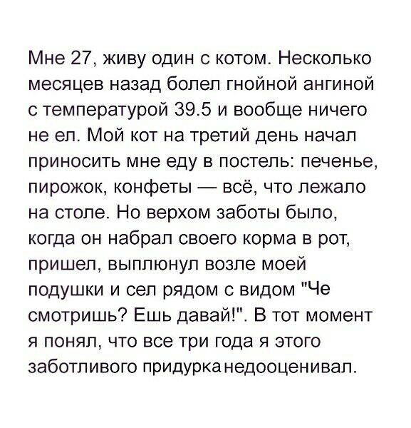 Мне 27 живу один с котом Несколько месяцев назад болел гнойной ангиной с температурой 395 и вообще ничего не ел Мой кот на третий день начал приносить мне еду в постель печенье пирожок конфеты всё что лежало на столе Но верхом заботы было когда он набрал своего корма в рот пришел выплюнул возле моей подушки и сел рядом с видом Че смотришь Ешь давай В тот момент я понял что все три года я этого заб