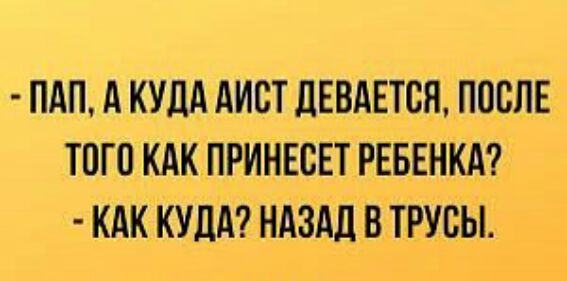 ПАП А КУДА АИСТ ДЕВАЕТСЯ ПОСЛЕ ТОГО КАК ПРИНЕСЕТ РЕБЕНКА КАК КУДА НАЗАД В ТРУДЫ