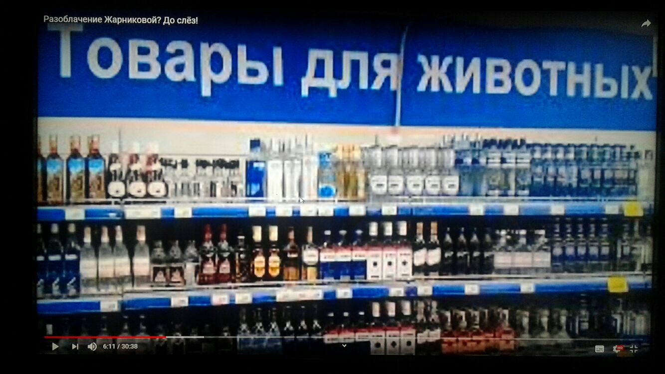 Разоблачение Жврниковой до слёз бежим
