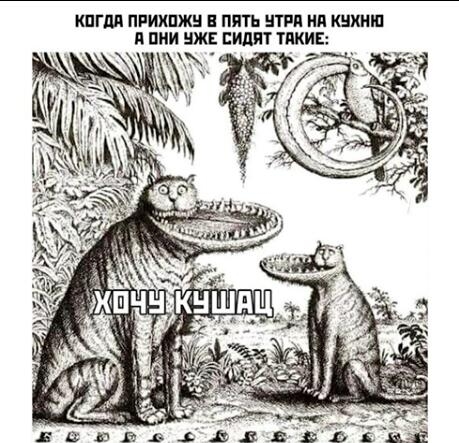 КПГ ПРИХПЖ ПЯТЬ ИТРП И КШШШ