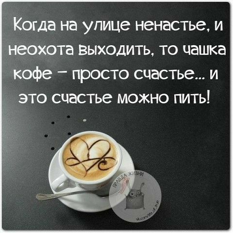 Когда на УПИЦС ННВСТЬЗ И неохота ВЫХОДИТЬ ТО чашка кофе просто счастье и _ это счастье можно пить
