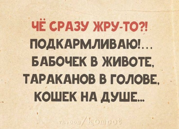 чі срдзу ЖРУ ТО ПОДКАРМЛИВАЮ вдвочвк в животв ТАРАКАНОВ в голове кошек нд душе