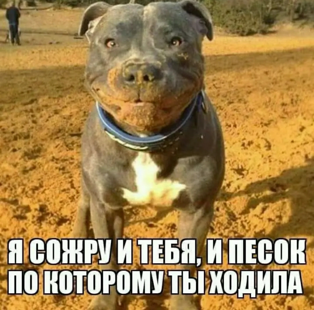 у и вишни и тюннингон по которому ты ходили
