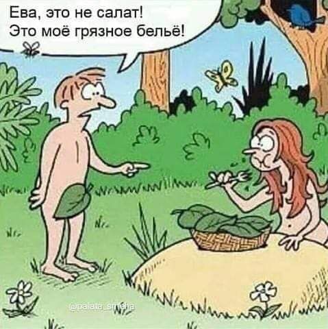 Ева это не салат Это моё грязное бельё