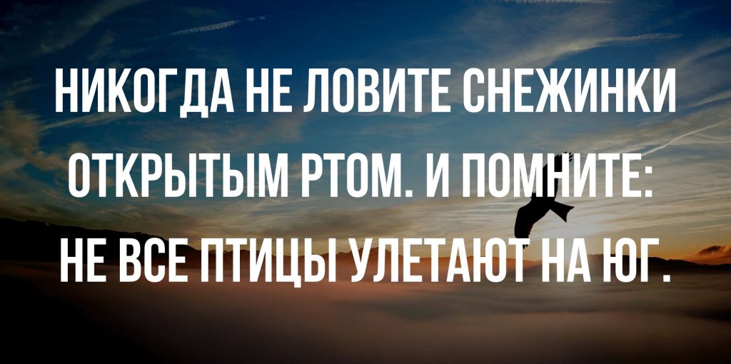 НИКОГДА НЕ ЛОВИТЕ СНЕЖИНКИ ОТКРЫТЫМ РТПМ ИЁ А НЕ ВСЕ ПТИЦЫ УЛЕТ