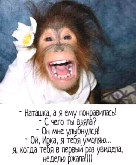 Наташка а я ему понравитсь С чего ты взяла ОИОн мне улыбнулся ка я т ебя улюляю я когда те я в первый уРаз увидав НЕДЕЛЮ рЖдтШ