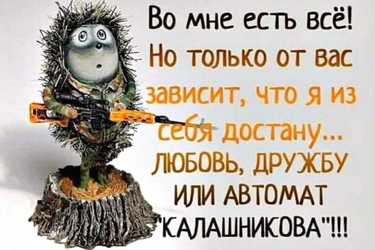 любовь дружву или АВТОМАТ КАЛАШНИКОВА